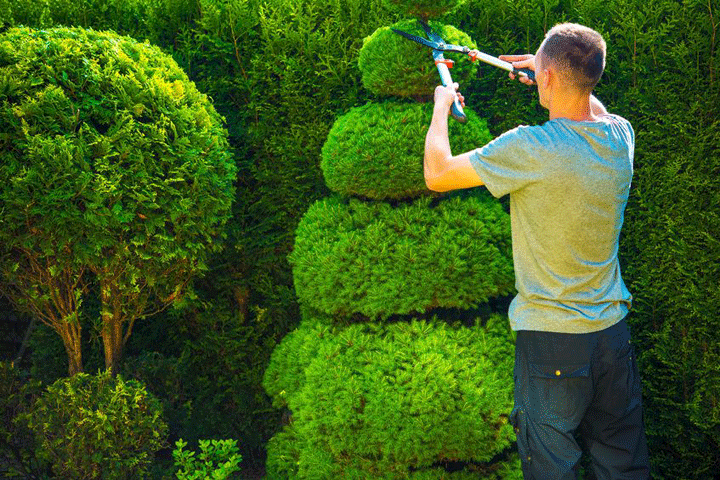 Employe-jardinage-720x480