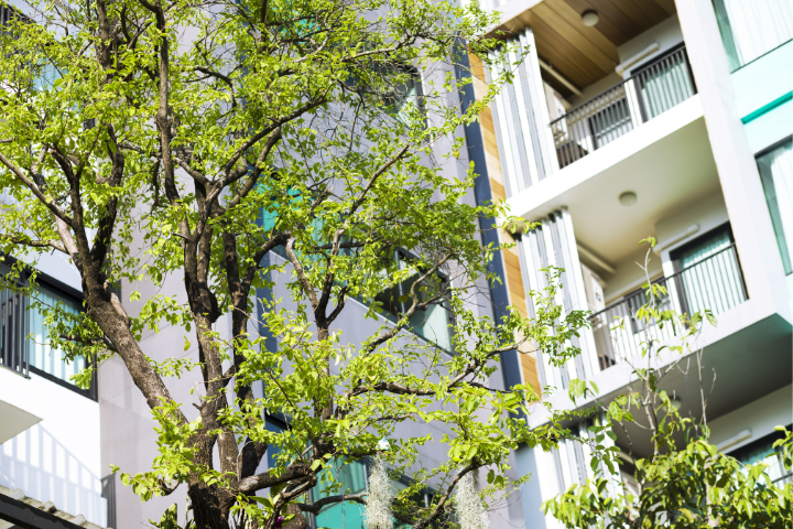 copropriete-arbre-suvbvention-720x480